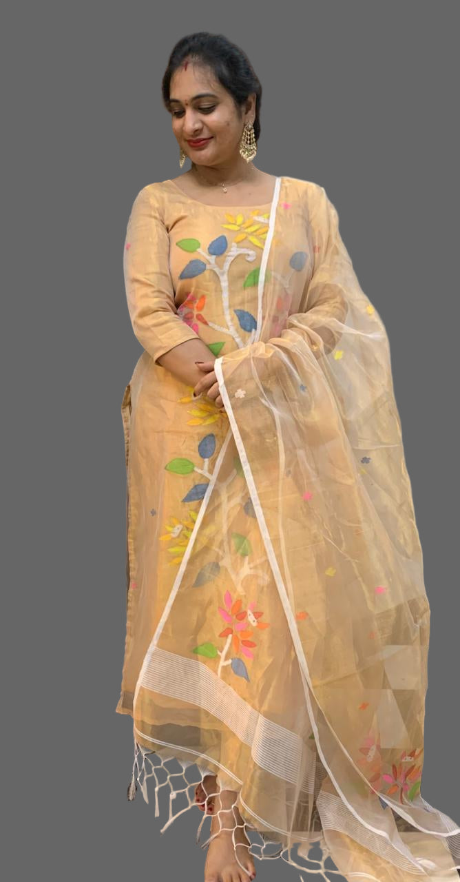 Handloom Tissue Jamdhani 2 peice set