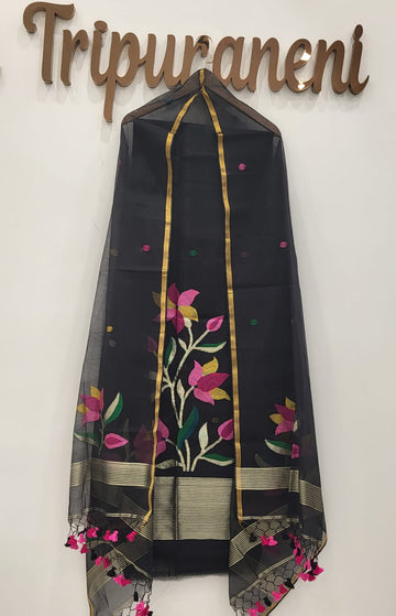 Muslin Jamdhani Handloom 2 peice set