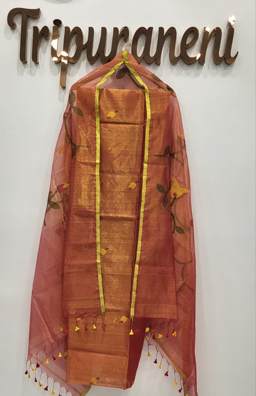 Tissue Jamdhani 2-piece set