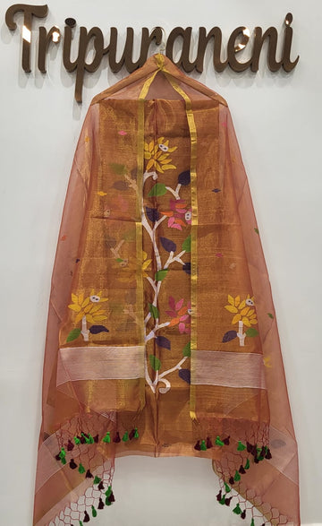 Tissue Jamdhani 2-piece set