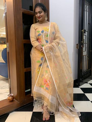 Handloom Tissue Jamdhani 2 peice set